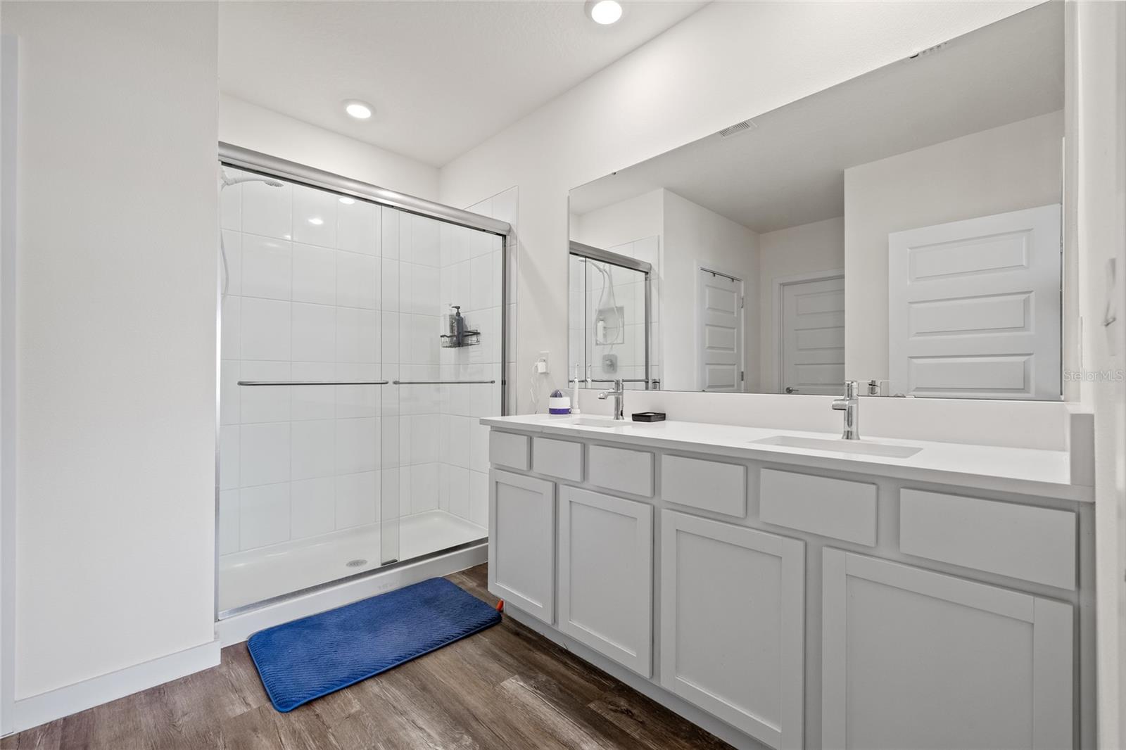 31923 TREASURE DOCK ISLE, WESLEY CHAPEL, FL, 33545