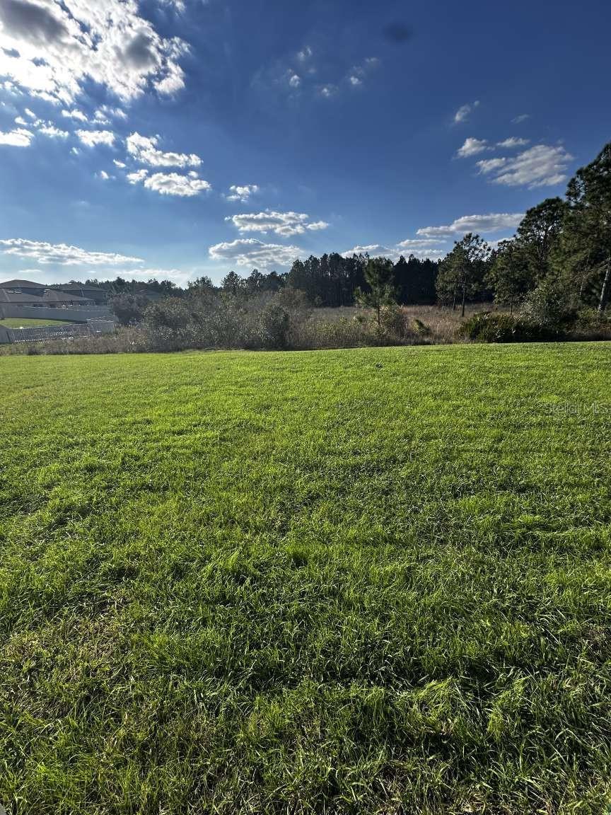 2359 LANIER RD, ZEPHYRHILLS, FL, 33541