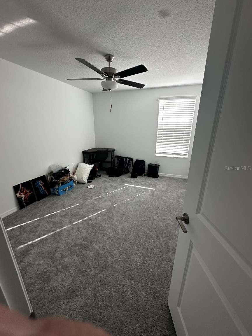 2359 LANIER RD, ZEPHYRHILLS, FL, 33541