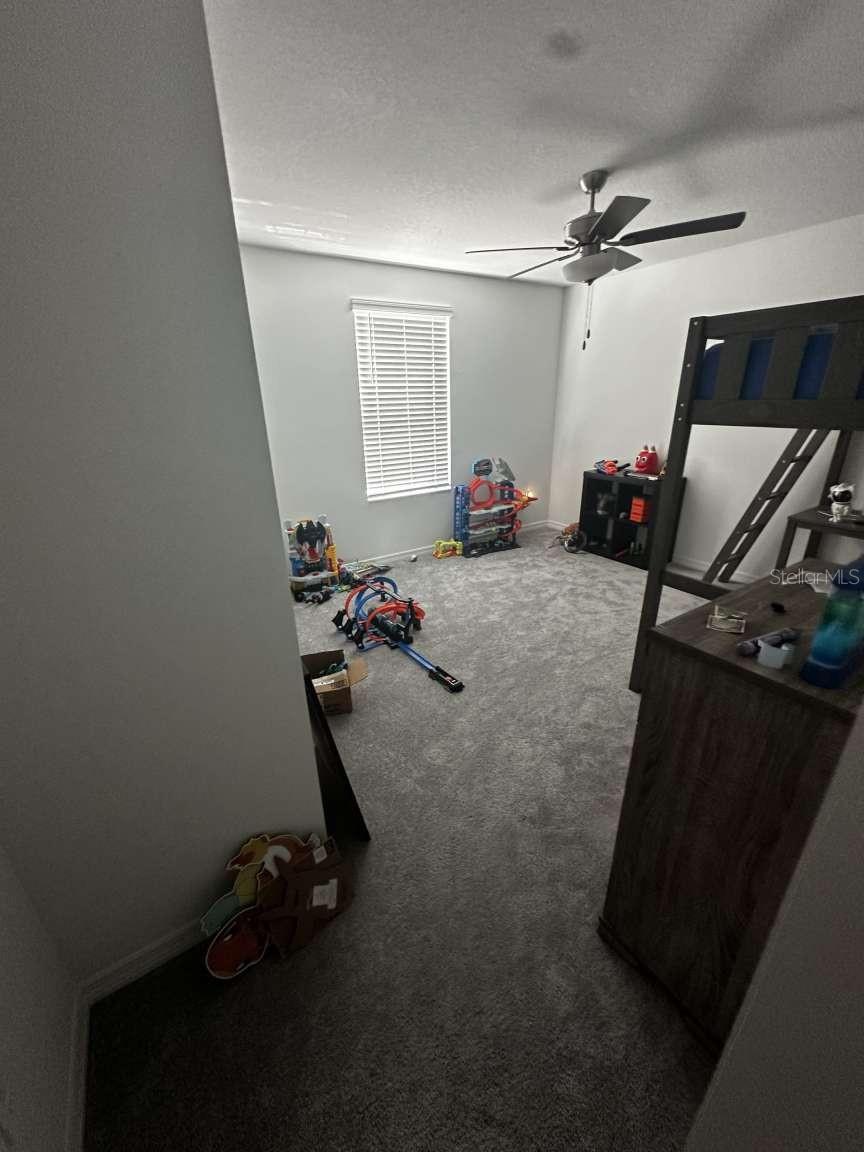 2359 LANIER RD, ZEPHYRHILLS, FL, 33541
