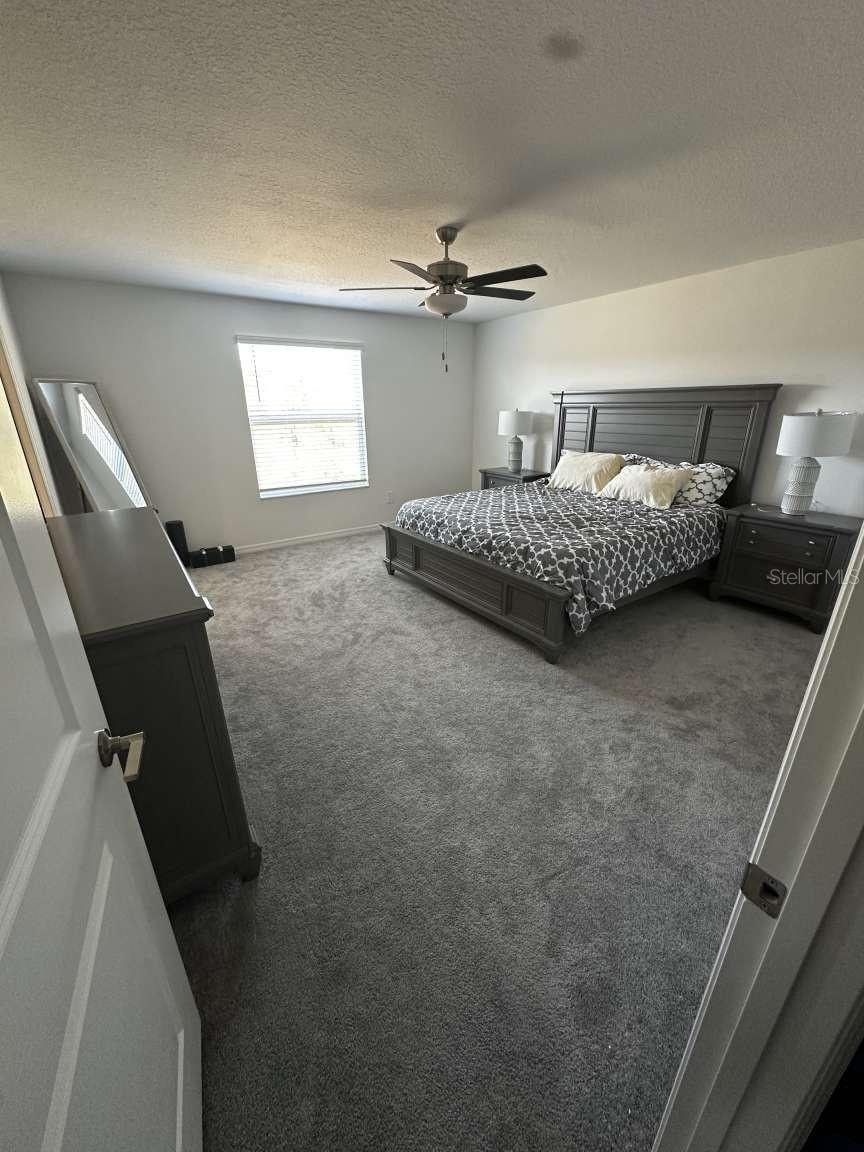 2359 LANIER RD, ZEPHYRHILLS, FL, 33541