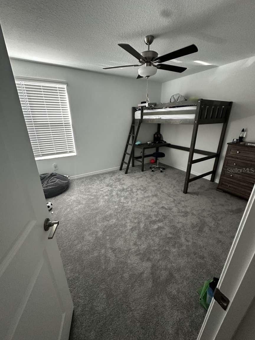 2359 LANIER RD, ZEPHYRHILLS, FL, 33541