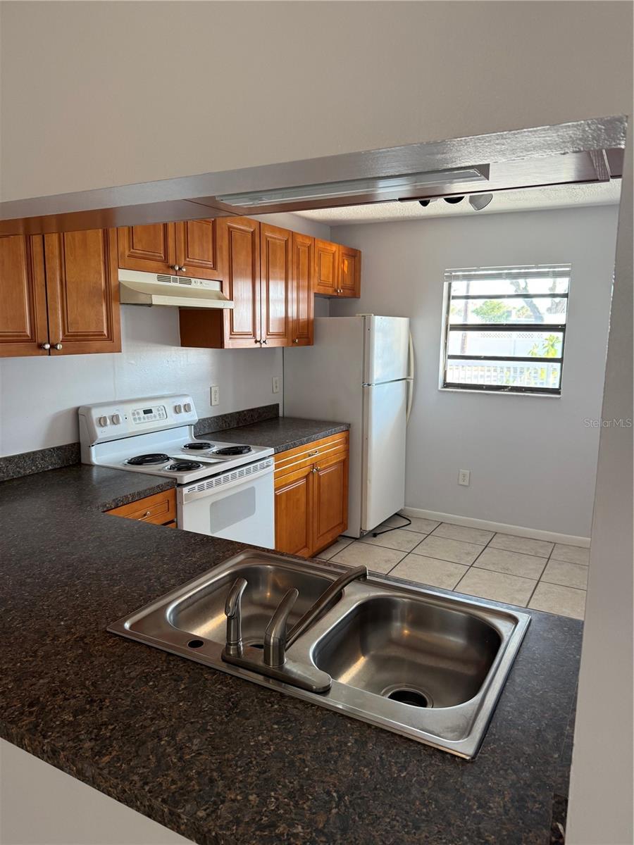 950 BELTREES ST, DUNEDIN, FL, 34698