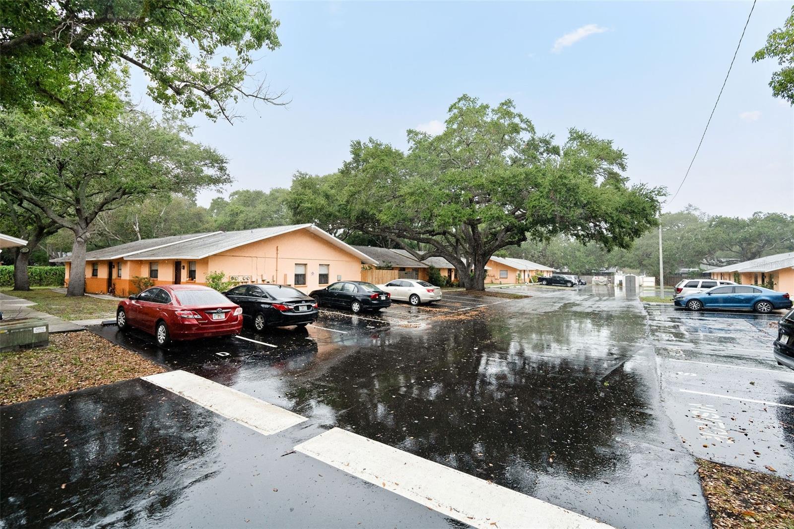 950 BELTREES ST, DUNEDIN, FL, 34698