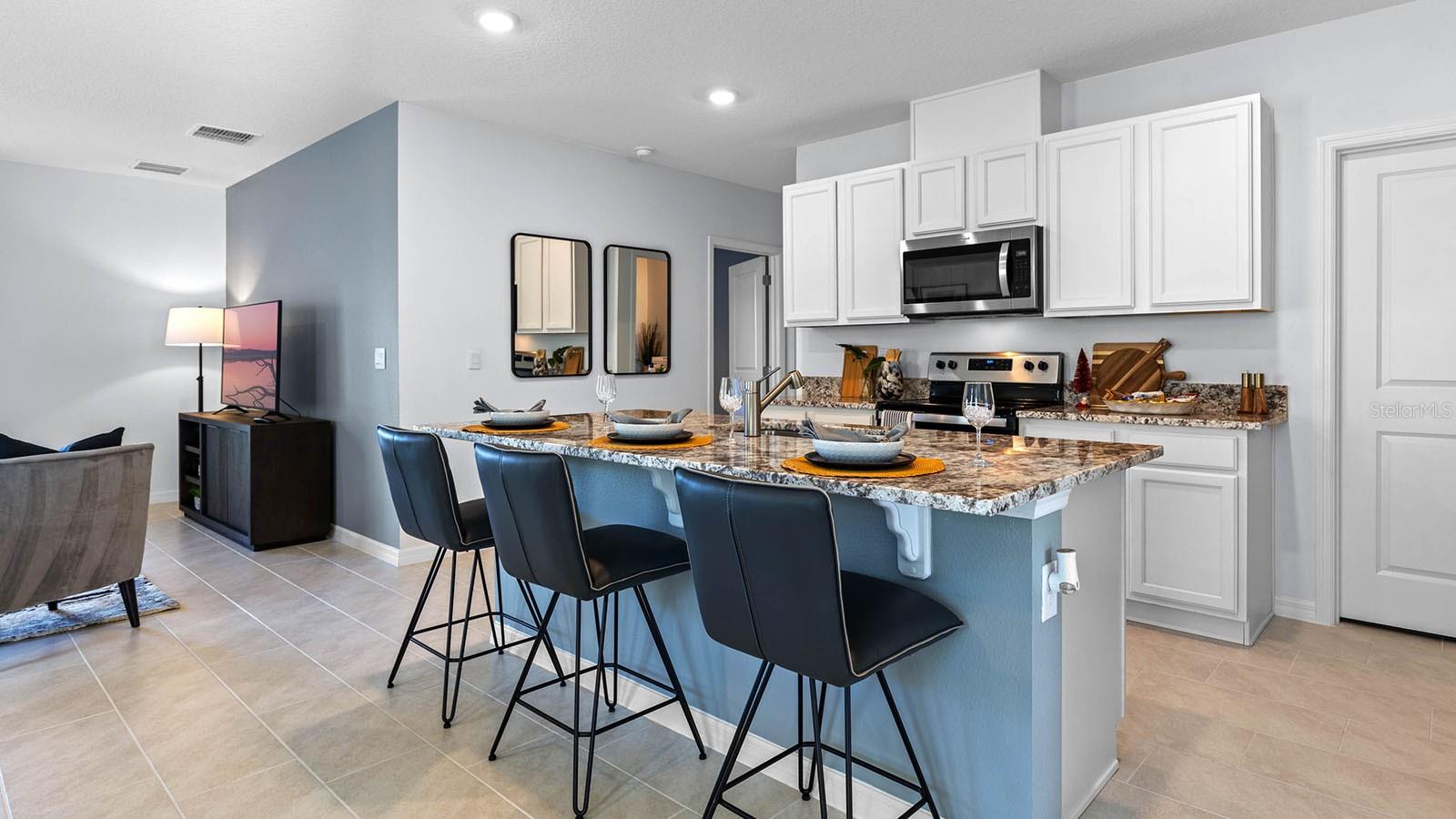 3615 SALVIA CT, TAVARES, FL, 32778