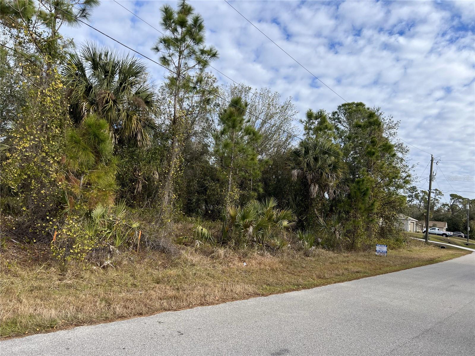 CARMELIA ST, NORTH PORT, FL, 34288