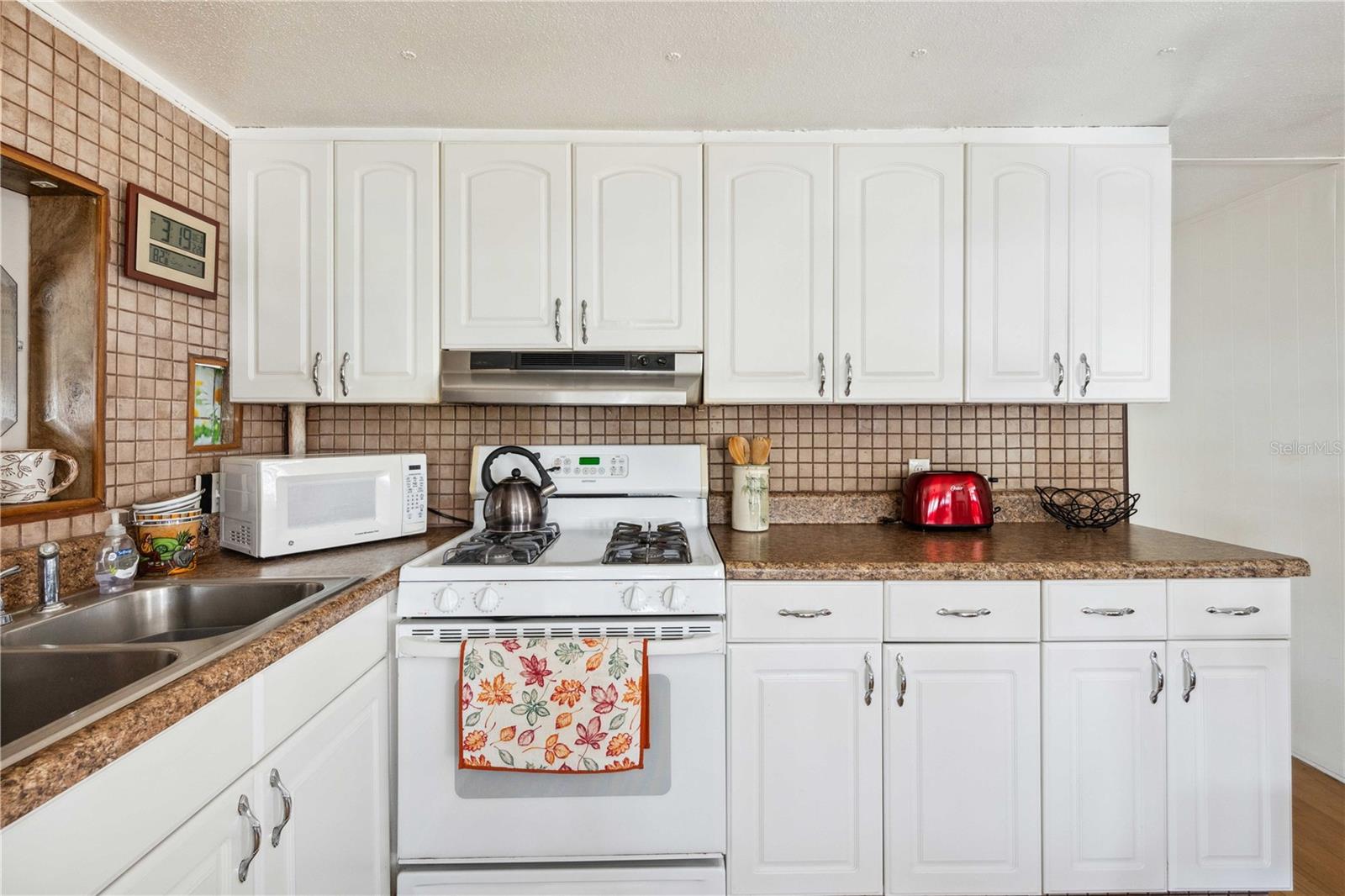 37910 SAGO PALM DR, ZEPHYRHILLS, FL, 33542
