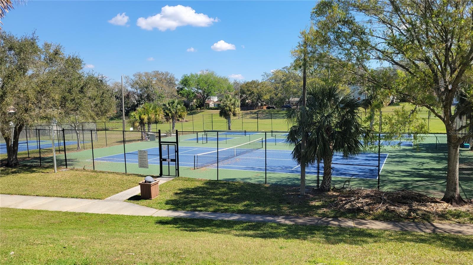 14712 TALL TREE DR, LUTZ, FL, 33559