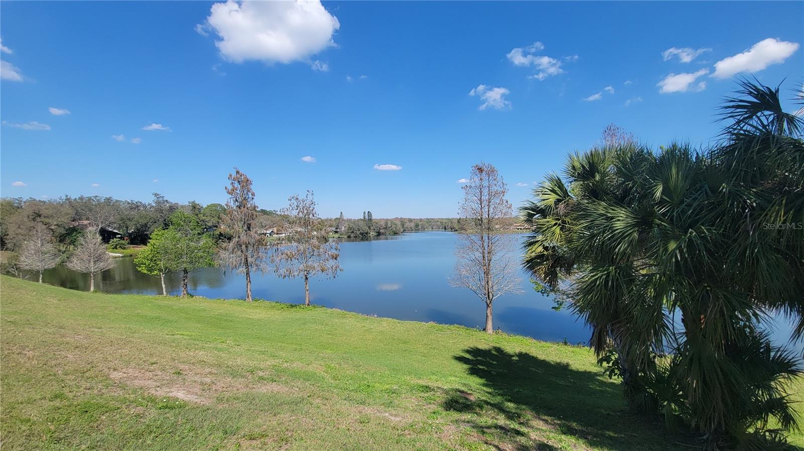 14712 TALL TREE DR, LUTZ, FL, 33559