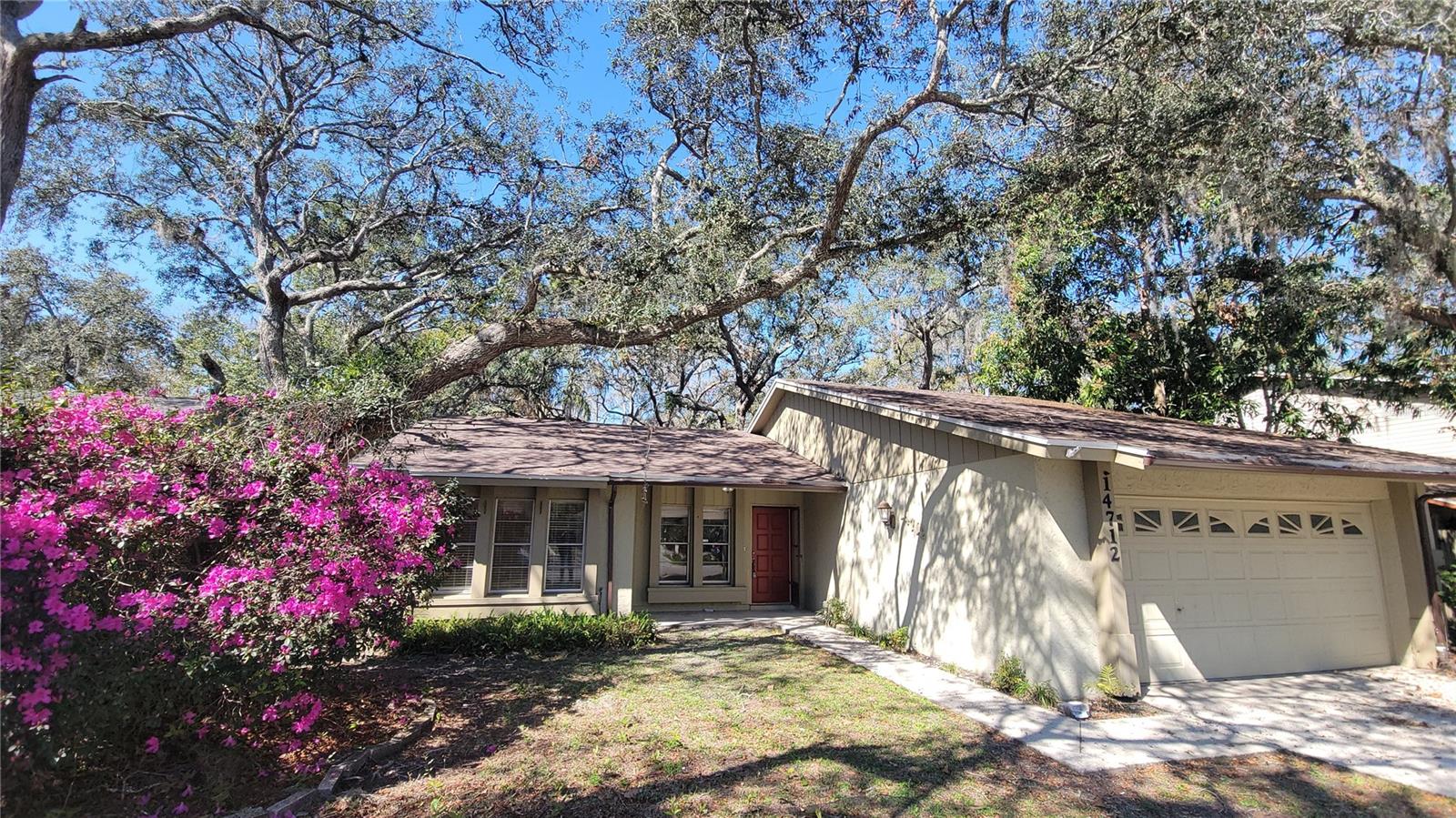 14712 TALL TREE DR, LUTZ, FL, 33559