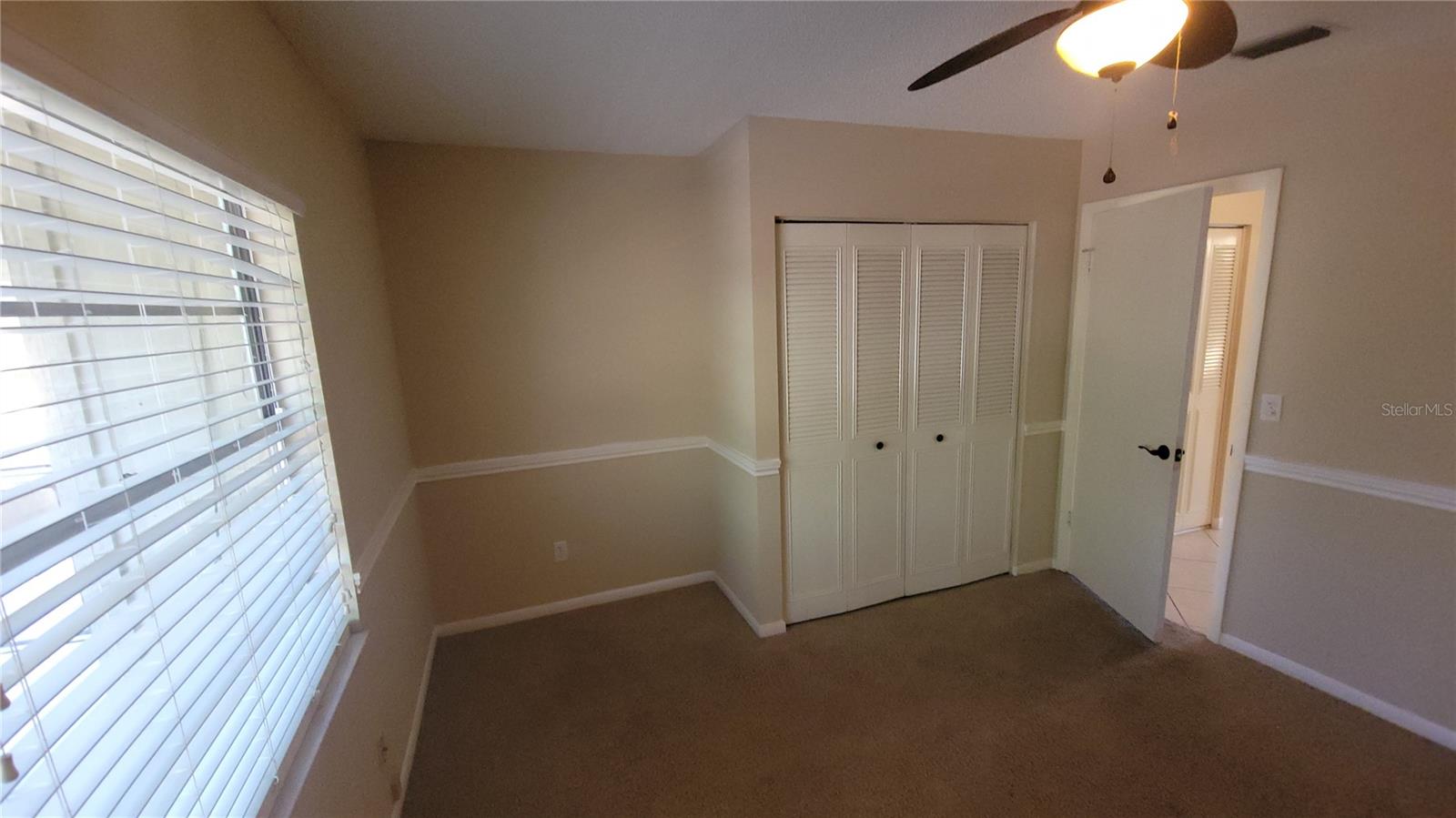 14712 TALL TREE DR, LUTZ, FL, 33559