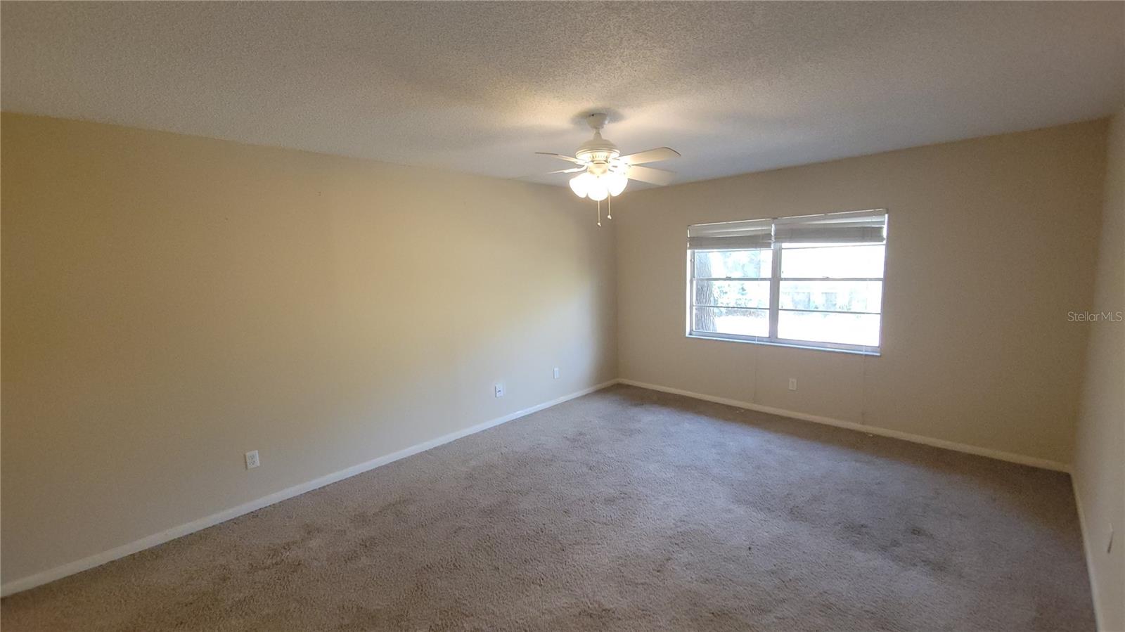 14712 TALL TREE DR, LUTZ, FL, 33559