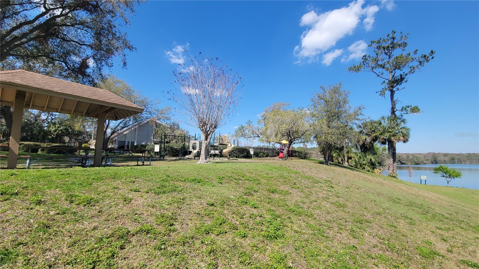 14712 TALL TREE DR, LUTZ, FL, 33559