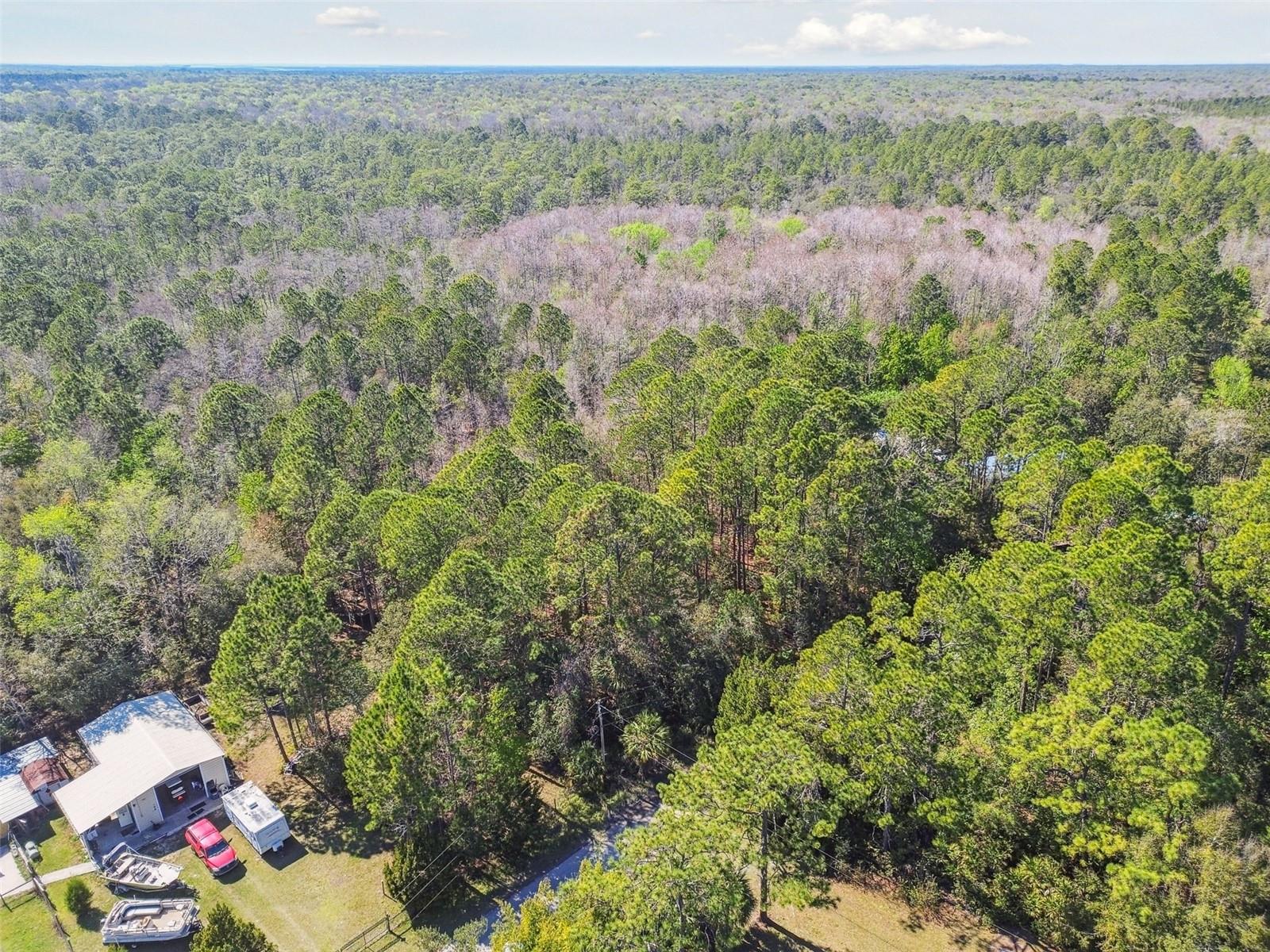 9670 S LOTUS PT, HOMOSASSA, FL, 34448