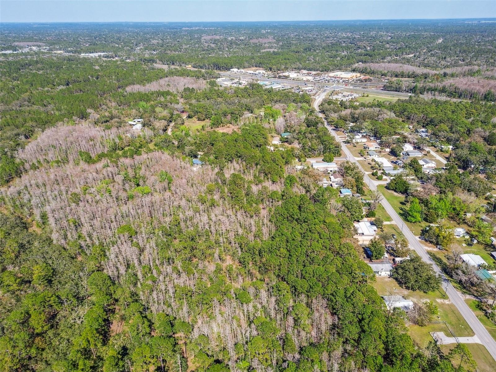 9670 S LOTUS PT, HOMOSASSA, FL, 34448