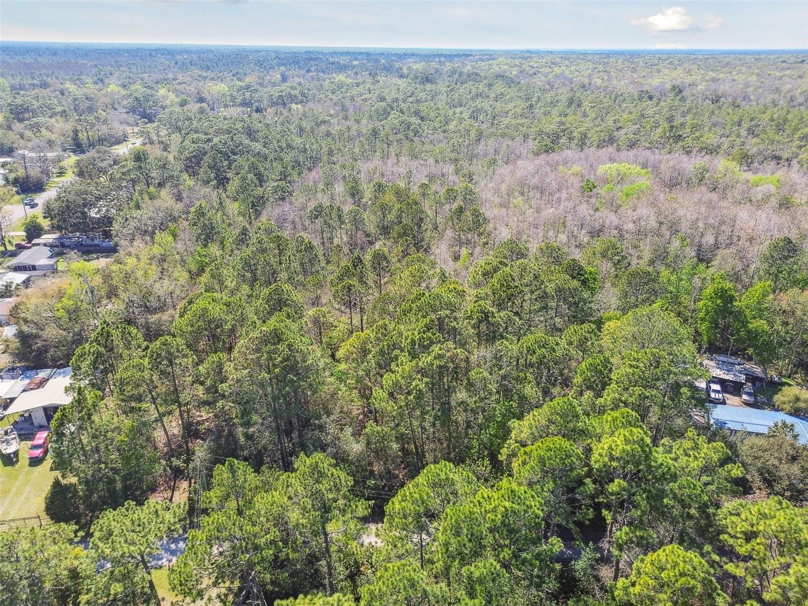 9670 S LOTUS PT, HOMOSASSA, FL, 34448