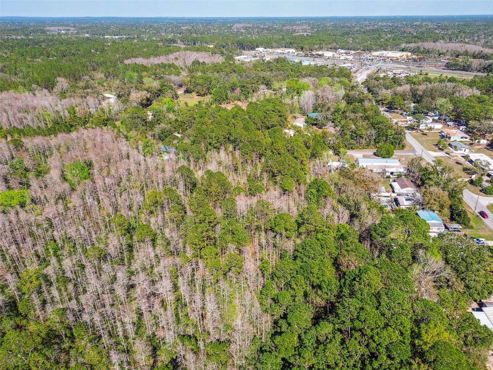 9670 S LOTUS PT, HOMOSASSA, FL, 34448