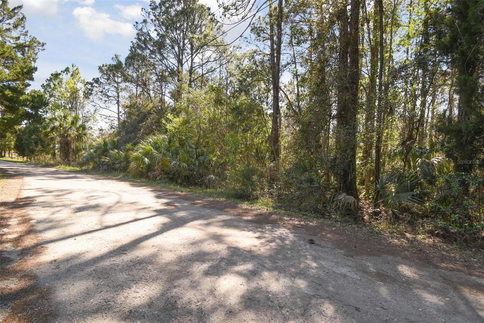 9670 S LOTUS PT, HOMOSASSA, FL, 34448