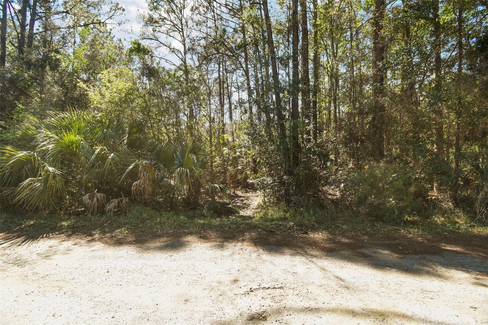 9670 S LOTUS PT, HOMOSASSA, FL, 34448