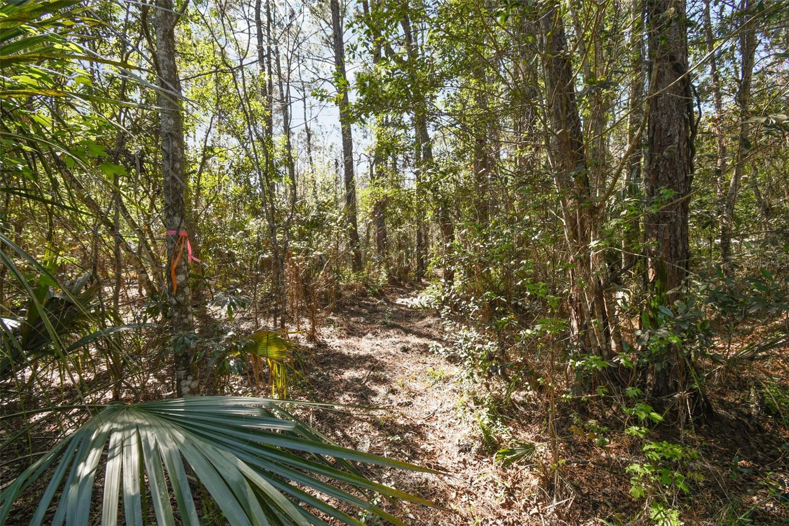 9670 S LOTUS PT, HOMOSASSA, FL, 34448