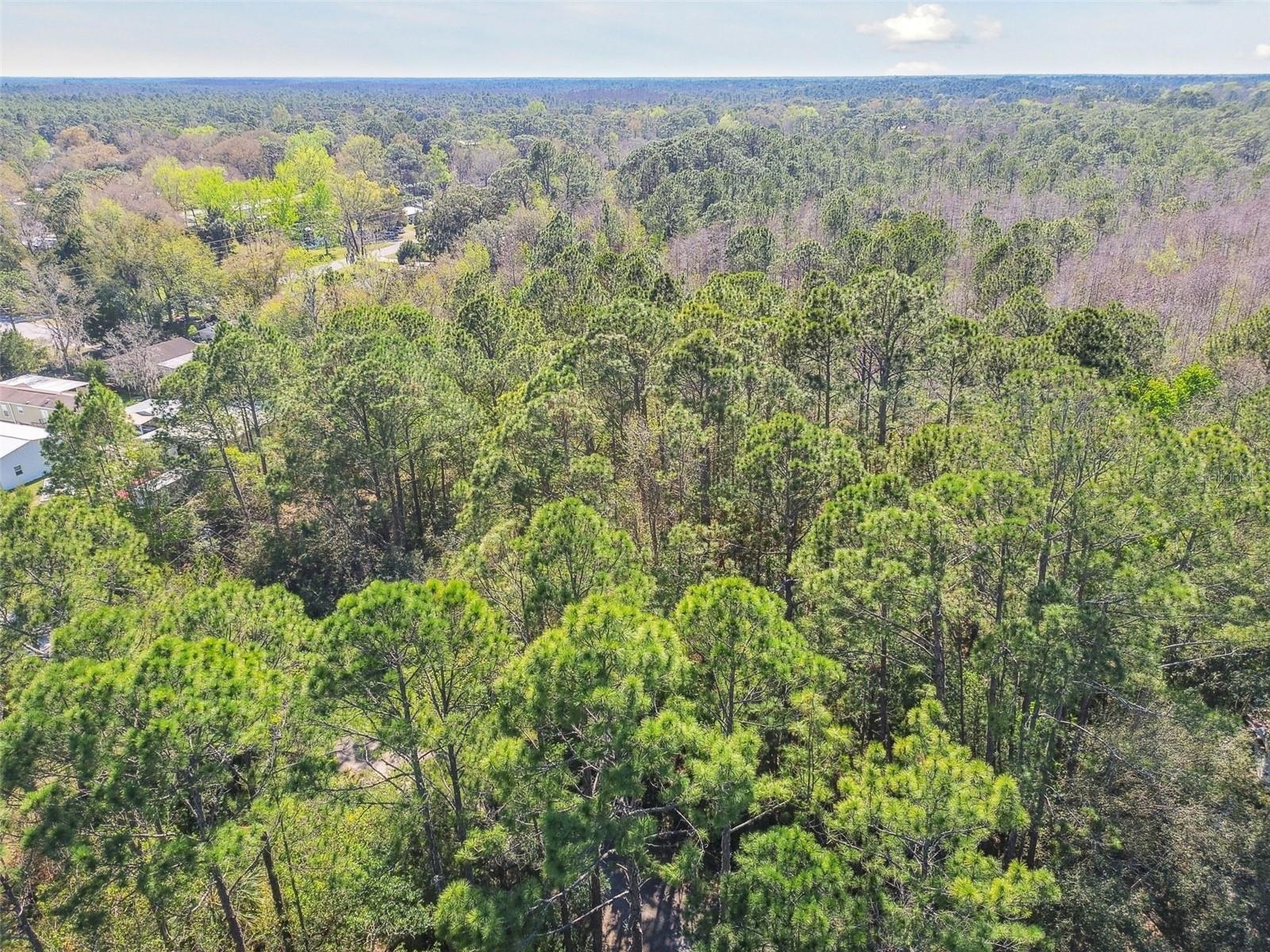 9670 S LOTUS PT, HOMOSASSA, FL, 34448