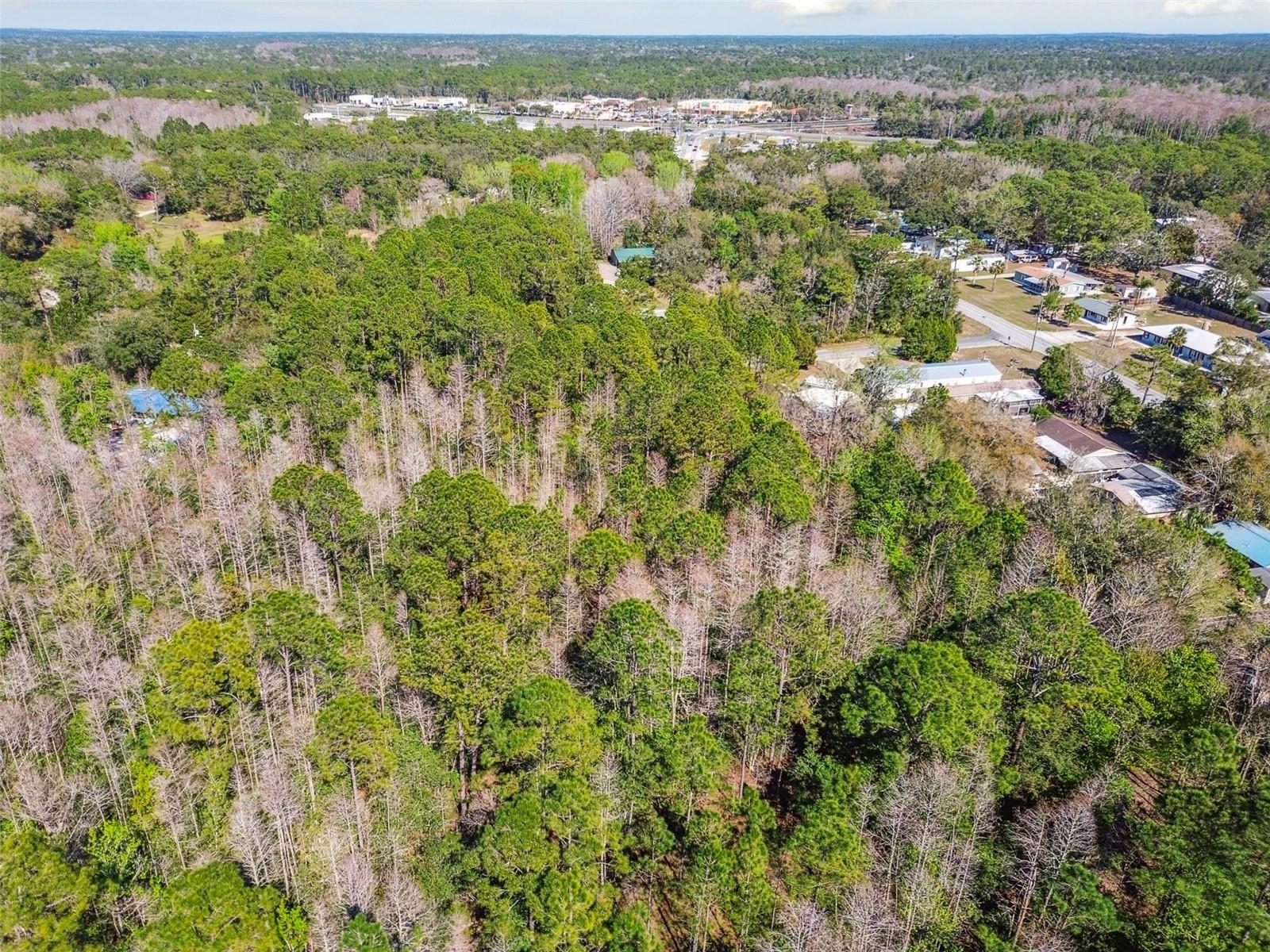9670 S LOTUS PT, HOMOSASSA, FL, 34448