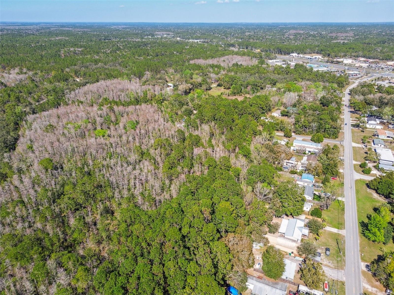 9670 S LOTUS PT, HOMOSASSA, FL, 34448