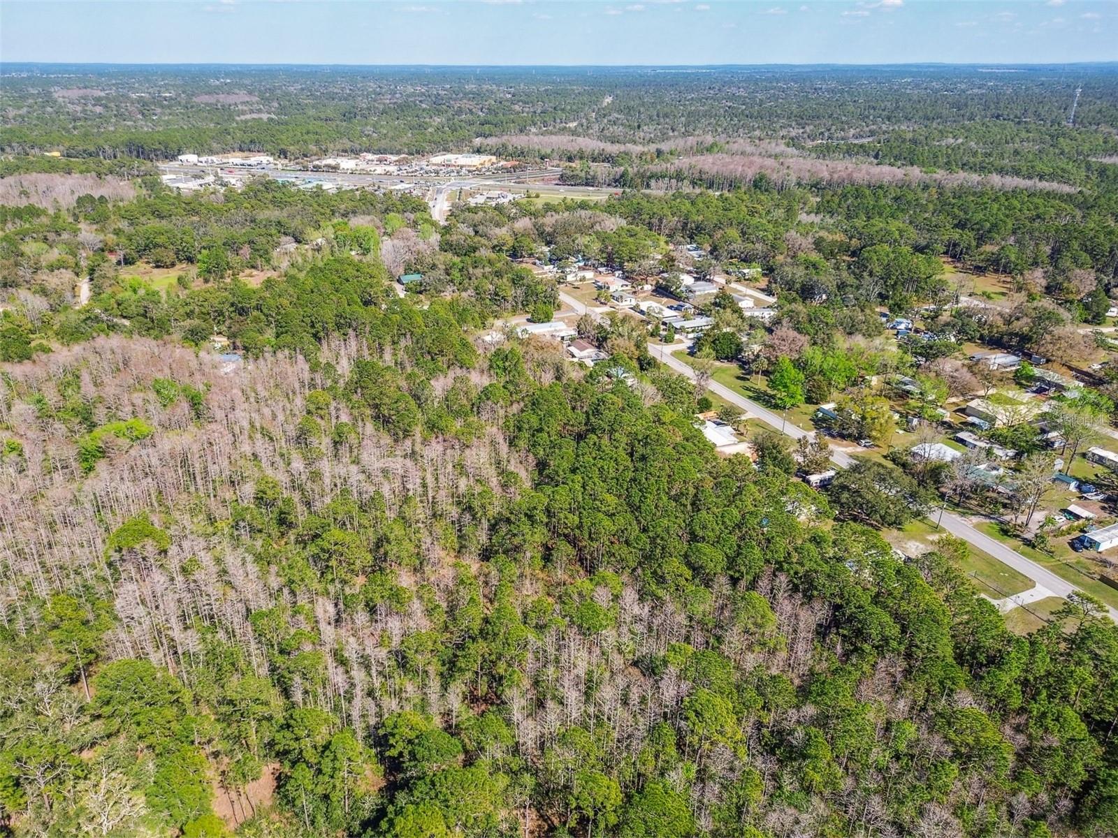 9670 S LOTUS PT, HOMOSASSA, FL, 34448