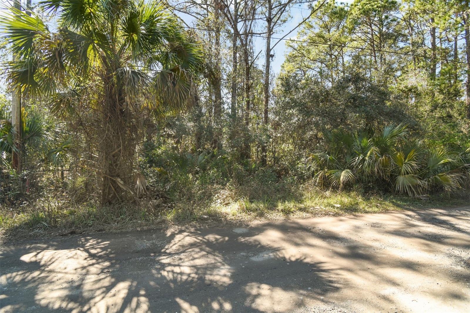 9670 S LOTUS PT, HOMOSASSA, FL, 34448