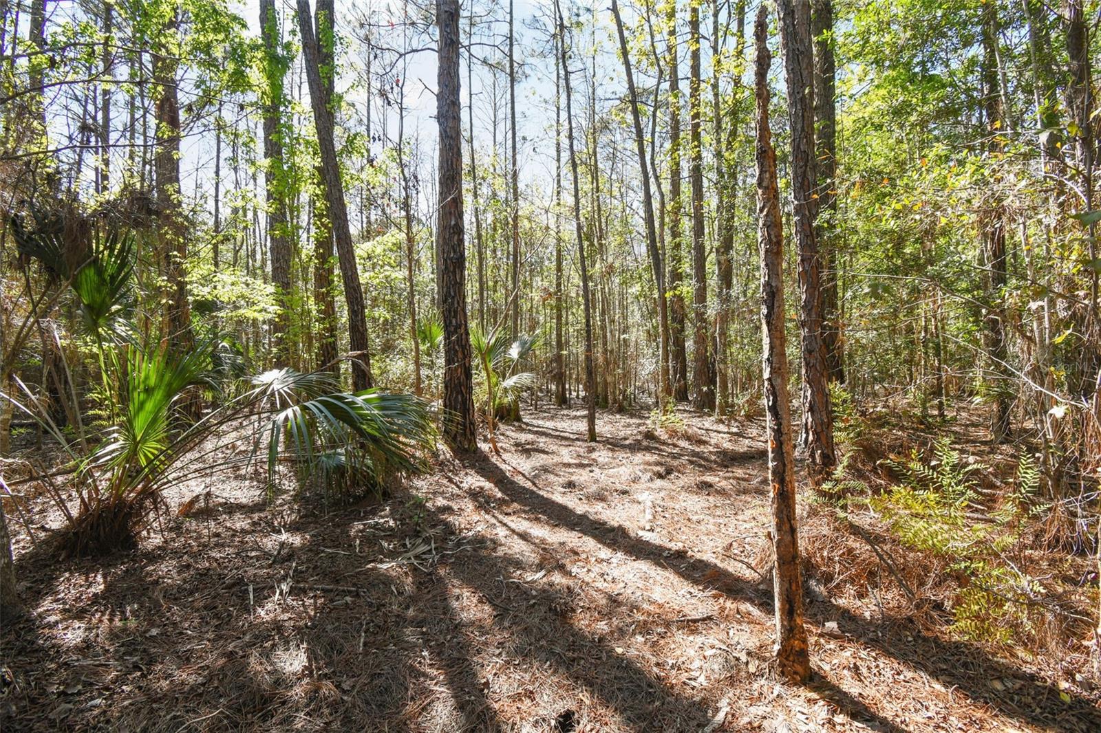 9670 S LOTUS PT, HOMOSASSA, FL, 34448