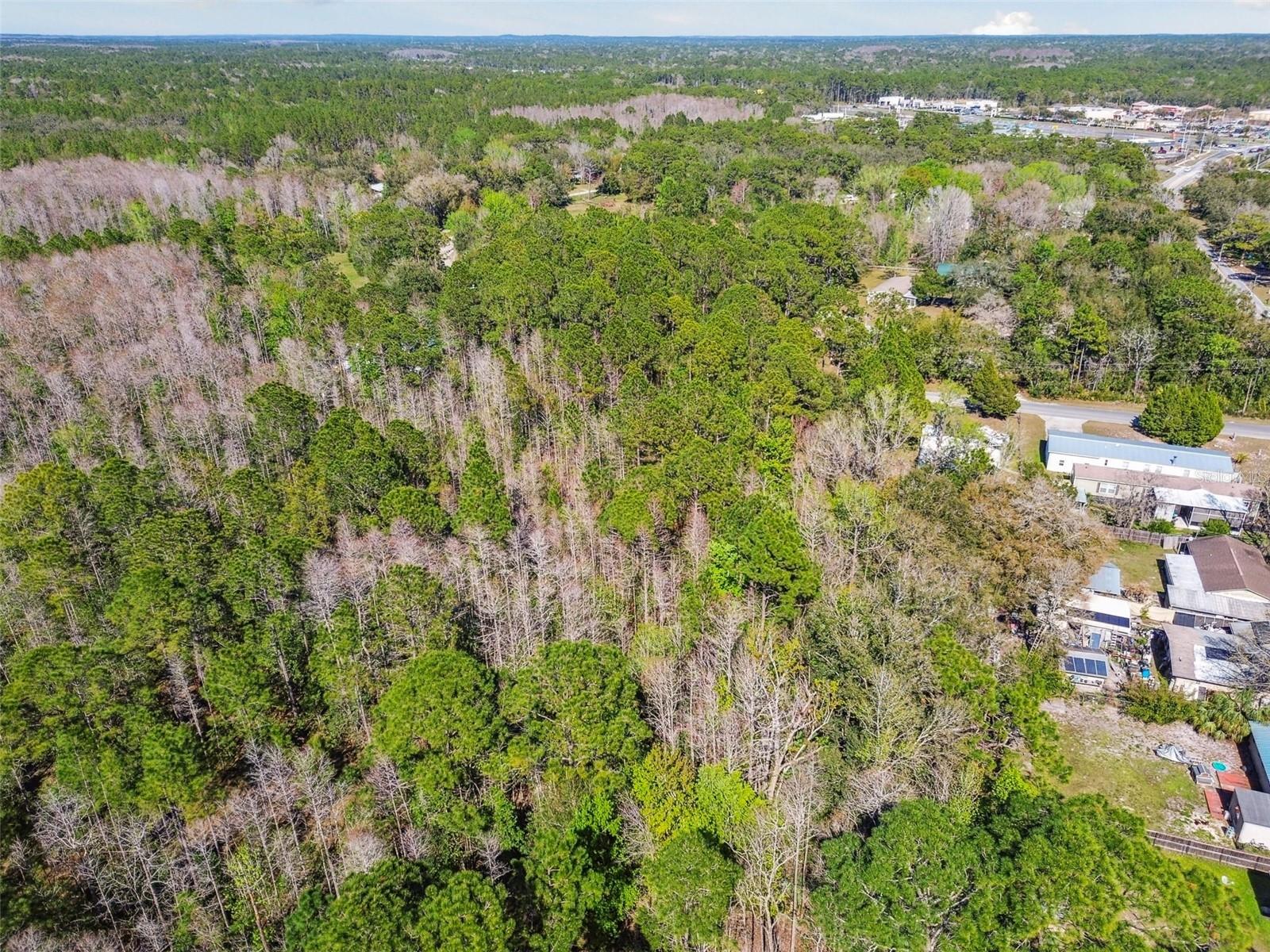 9670 S LOTUS PT, HOMOSASSA, FL, 34448