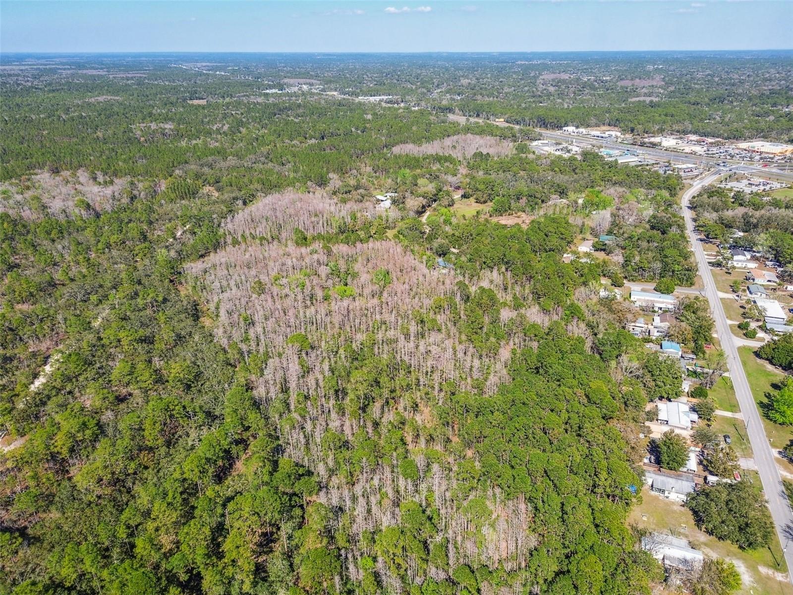 9670 S LOTUS PT, HOMOSASSA, FL, 34448