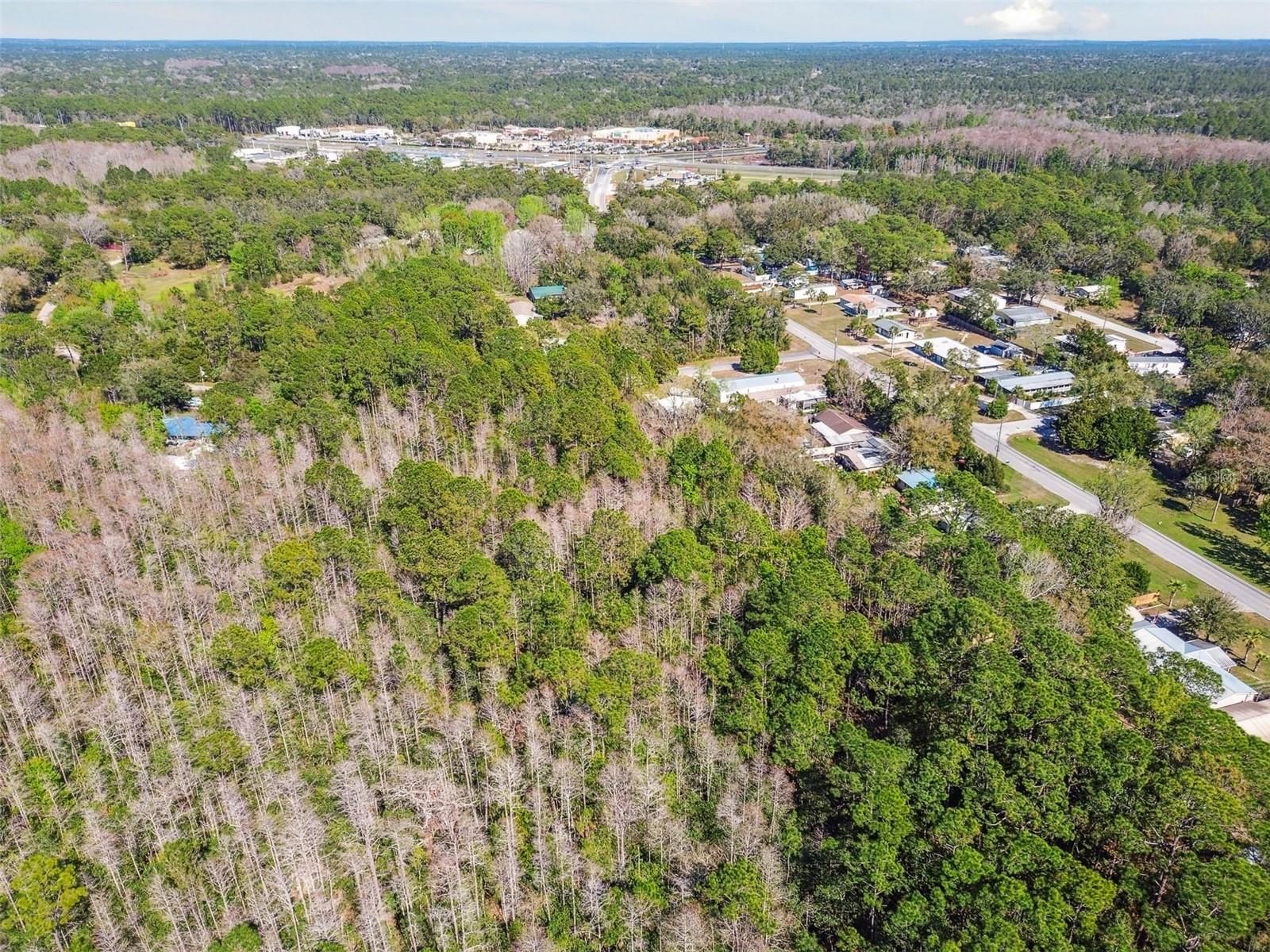 9670 S LOTUS PT, HOMOSASSA, FL, 34448