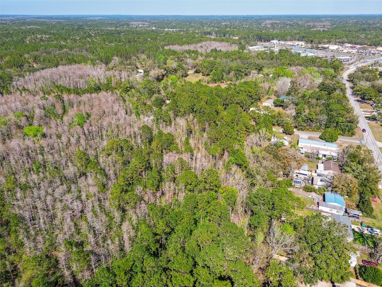 9670 S LOTUS PT, HOMOSASSA, FL, 34448