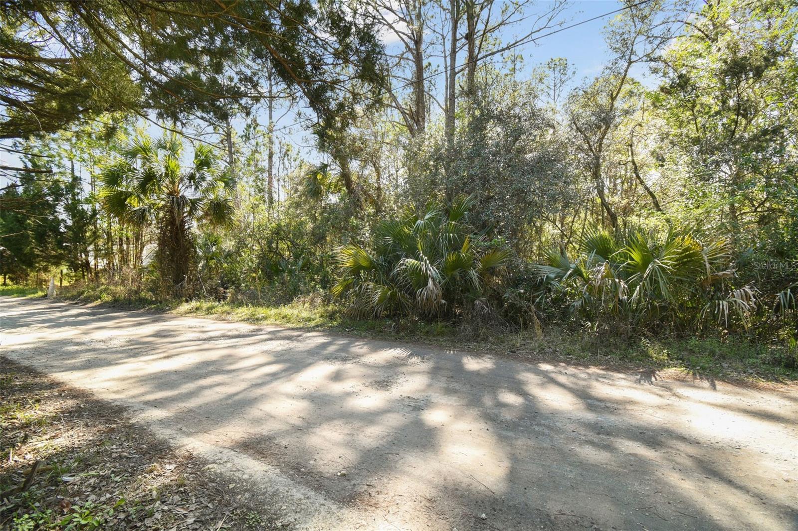 9670 S LOTUS PT, HOMOSASSA, FL, 34448