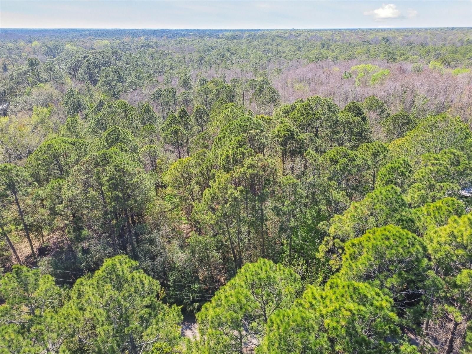 9670 S LOTUS PT, HOMOSASSA, FL, 34448