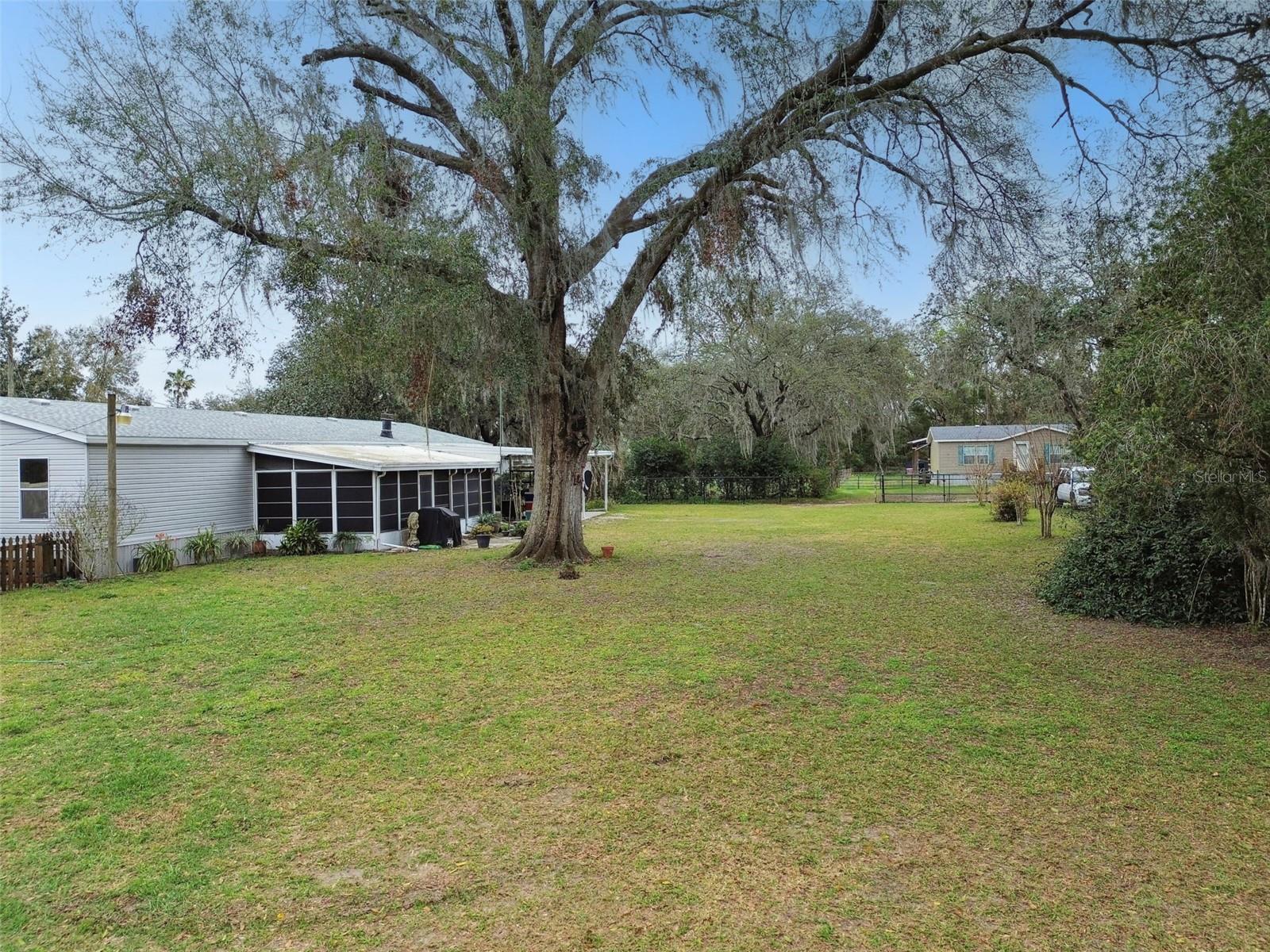 4537 THORNTON DR, ZEPHYRHILLS, FL, 33542