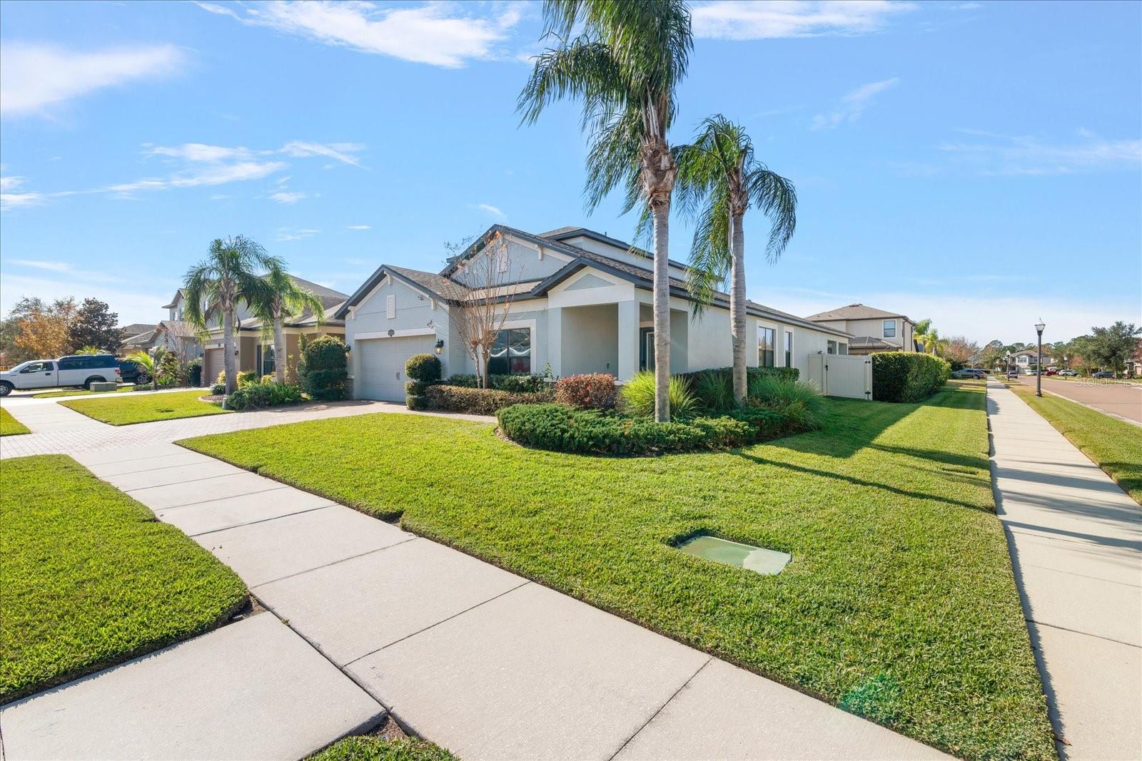 1727 NATURE VIEW DR, LUTZ, FL, 33558