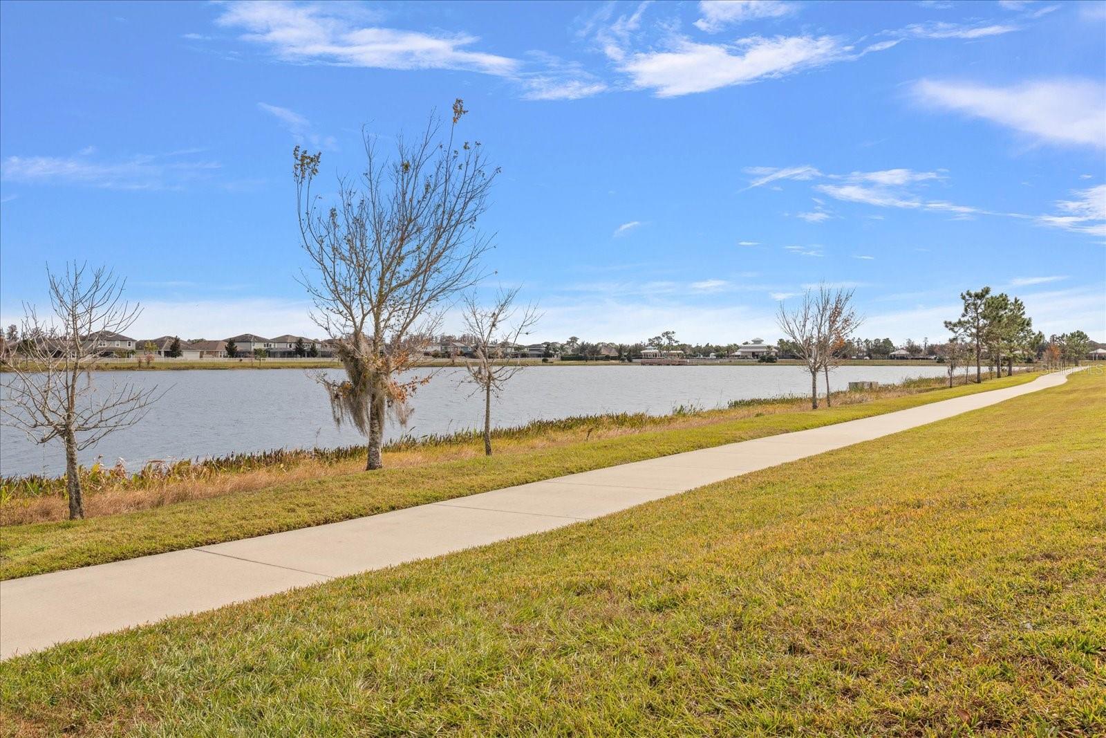 1727 NATURE VIEW DR, LUTZ, FL, 33558