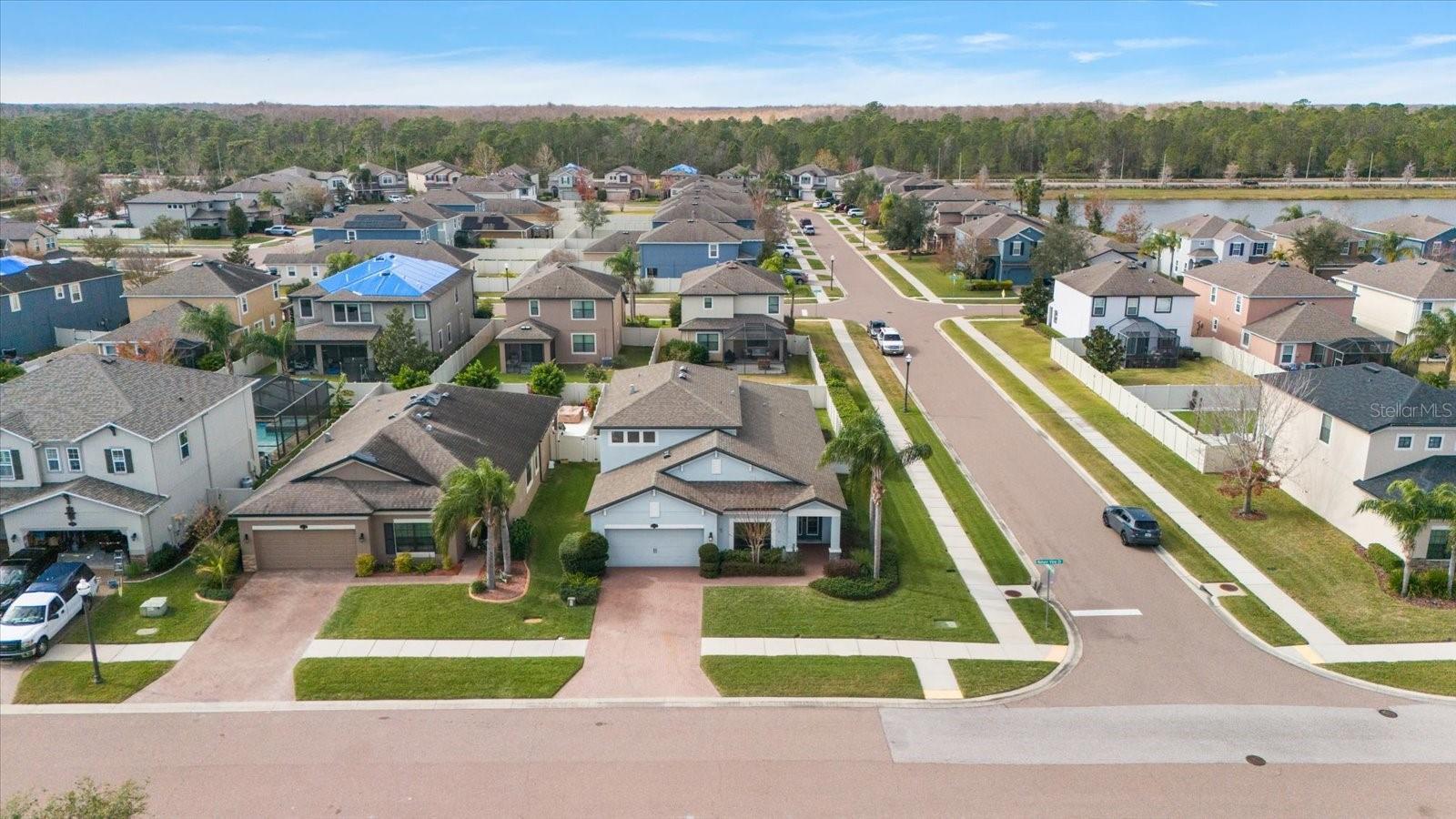 1727 NATURE VIEW DR, LUTZ, FL, 33558