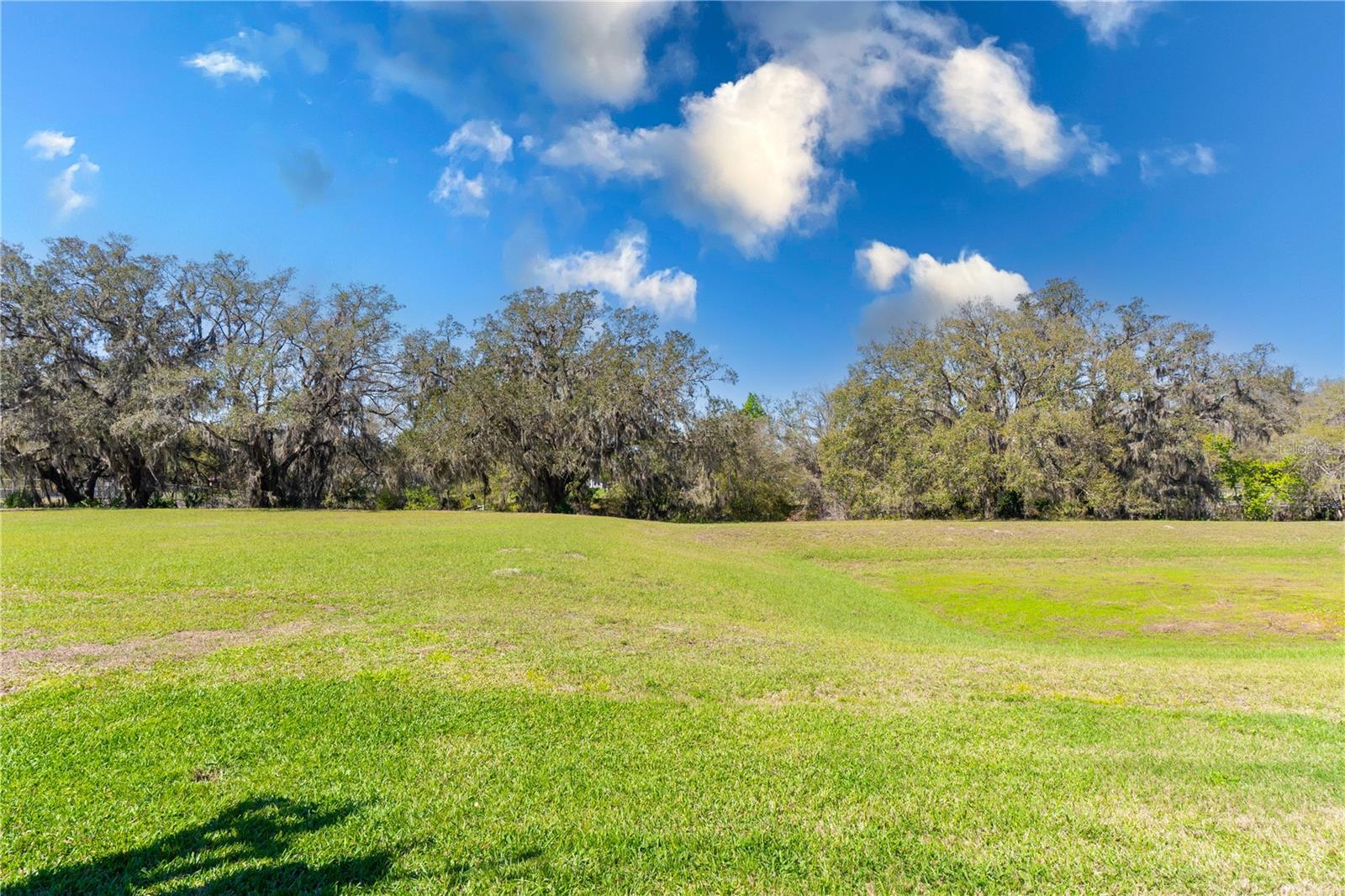 25265 LOST OAK CIR, LEESBURG, FL, 34748