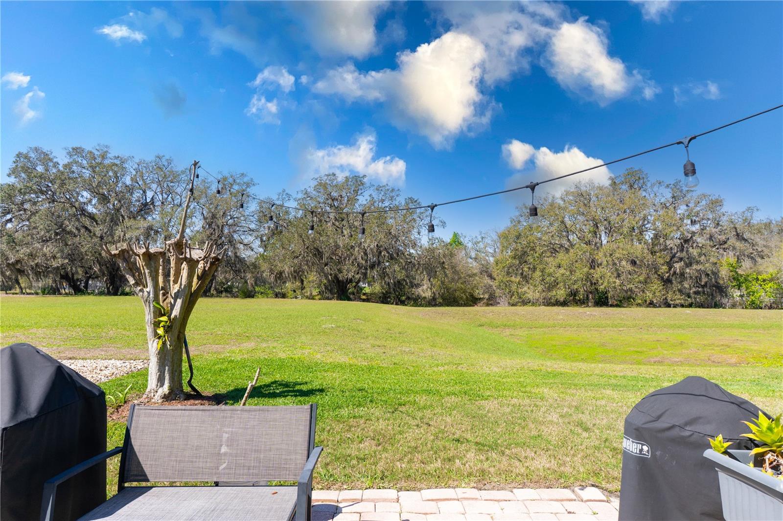 25265 LOST OAK CIR, LEESBURG, FL, 34748