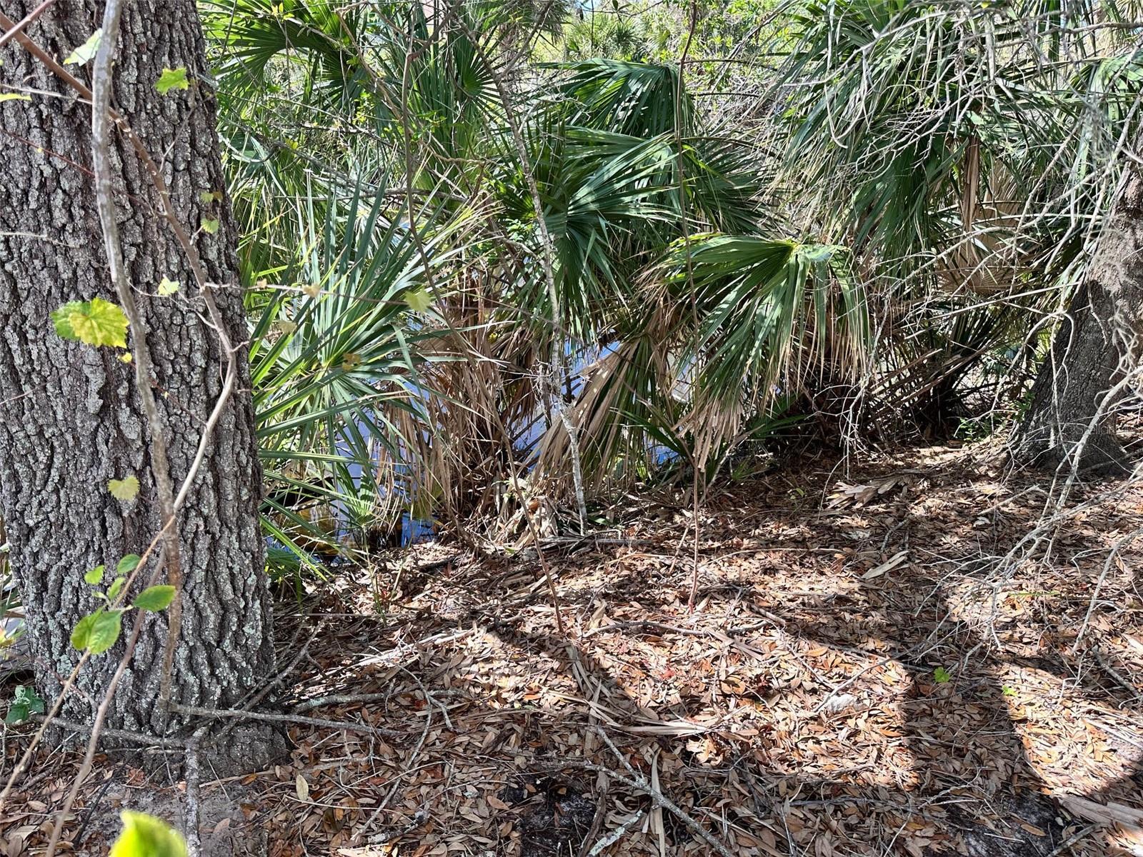 11417 CLAGGETT AVE, PORT CHARLOTTE, FL, 33981