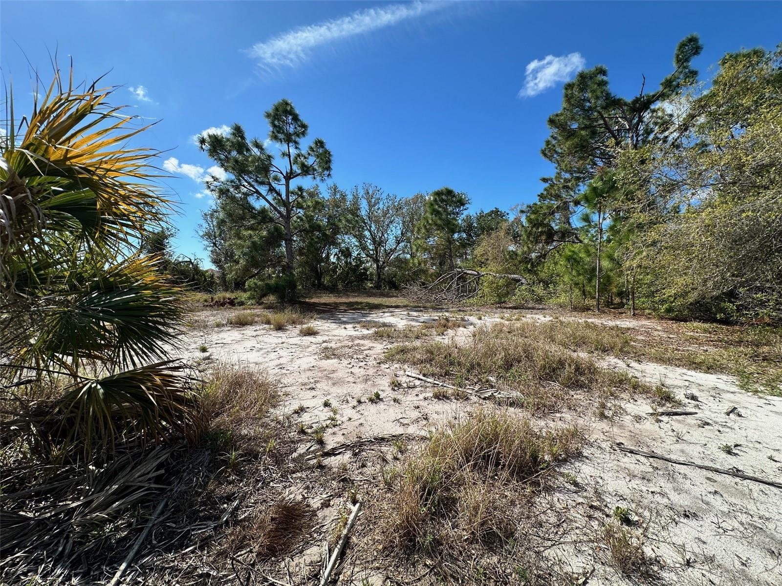 11417 CLAGGETT AVE, PORT CHARLOTTE, FL, 33981