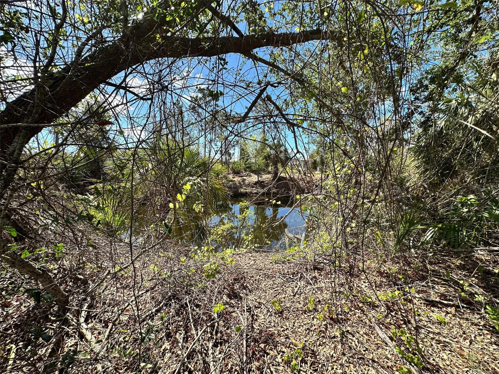 11417 CLAGGETT AVE, PORT CHARLOTTE, FL, 33981