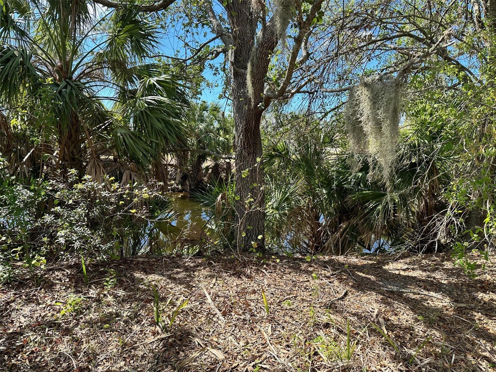 11417 CLAGGETT AVE, PORT CHARLOTTE, FL, 33981