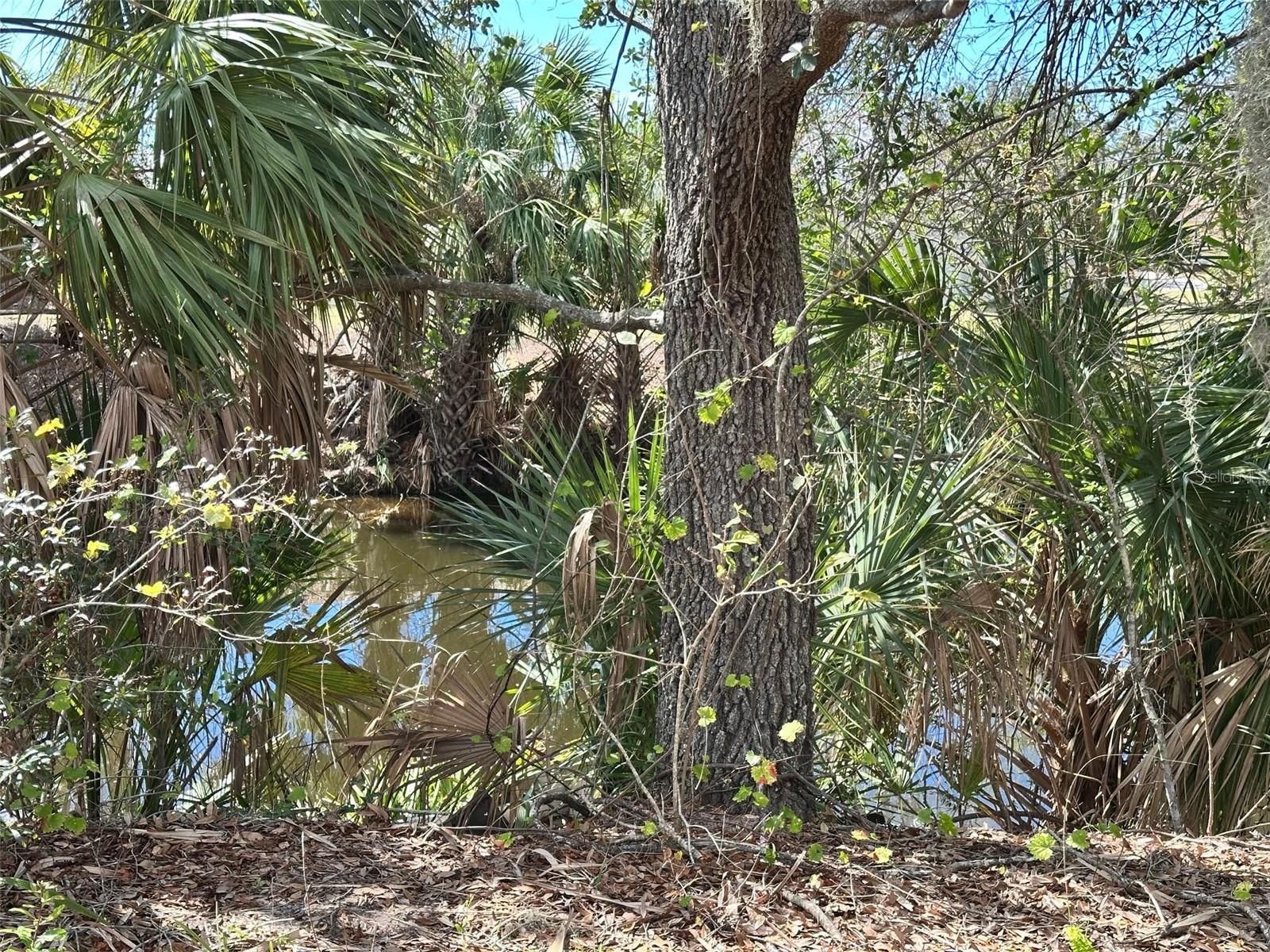 11417 CLAGGETT AVE, PORT CHARLOTTE, FL, 33981