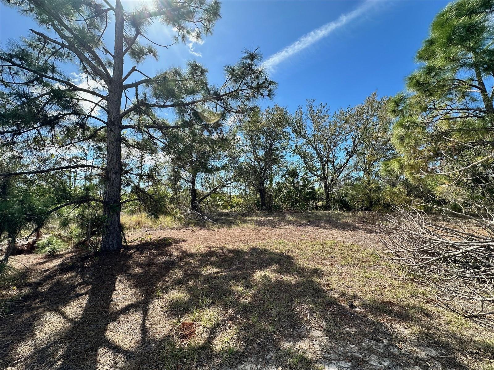 11417 CLAGGETT AVE, PORT CHARLOTTE, FL, 33981