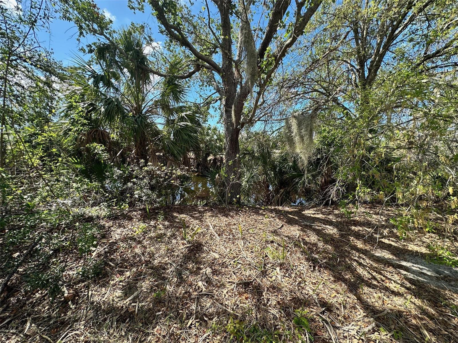 11417 CLAGGETT AVE, PORT CHARLOTTE, FL, 33981