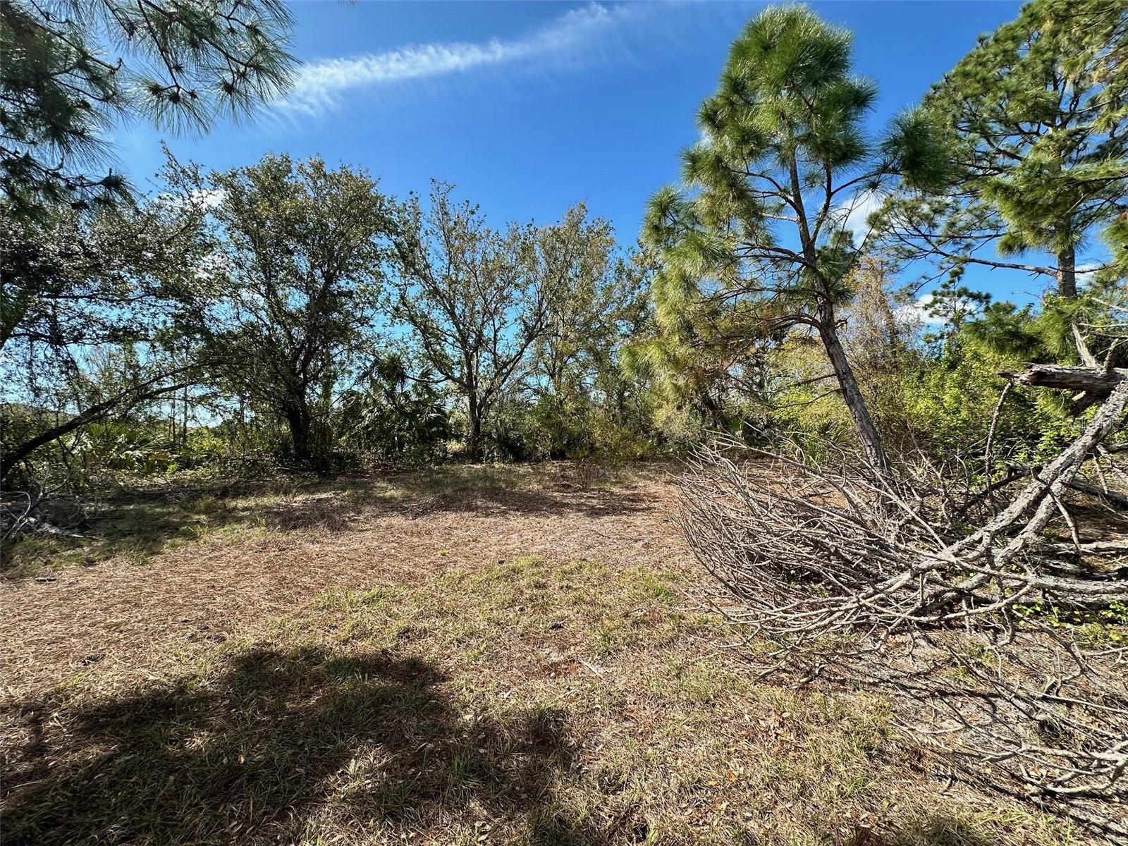 11417 CLAGGETT AVE, PORT CHARLOTTE, FL, 33981